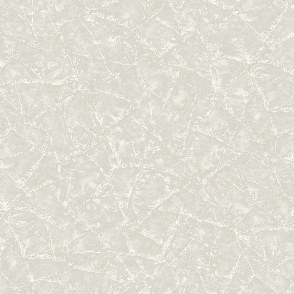 1007-1